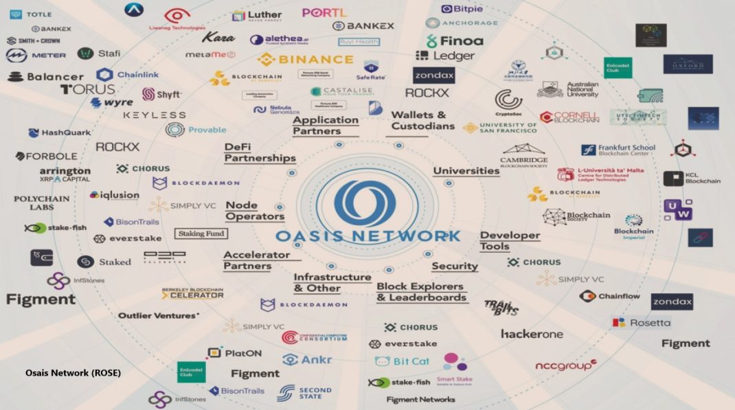 Oasis Network ROSE Analysis 1