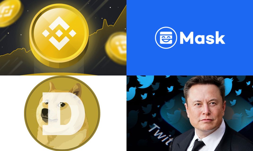 binance bluebird index bnb doge mask elon musk twitter